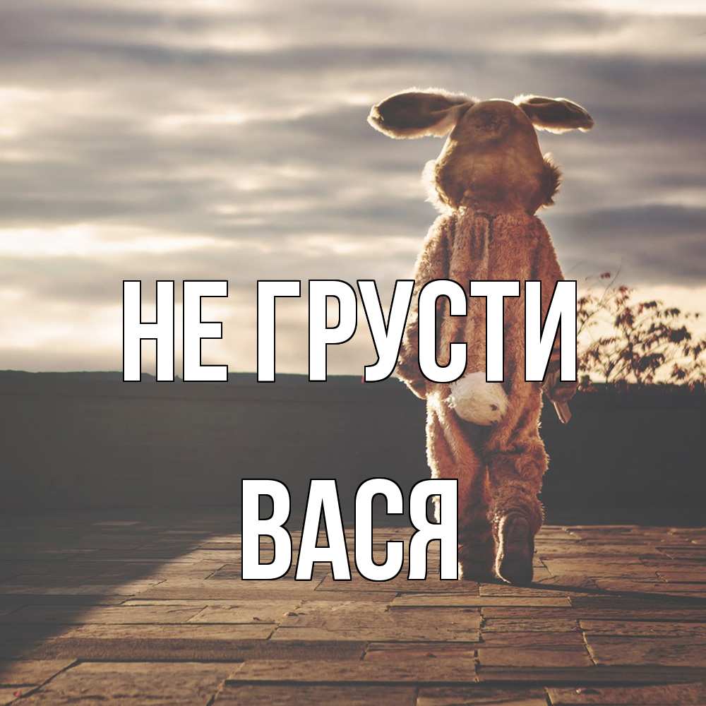 Открытка на каждый день с именем, Вася Не грусти со спины Прикольная открытка с пожеланием онлайн скачать бесплатно 