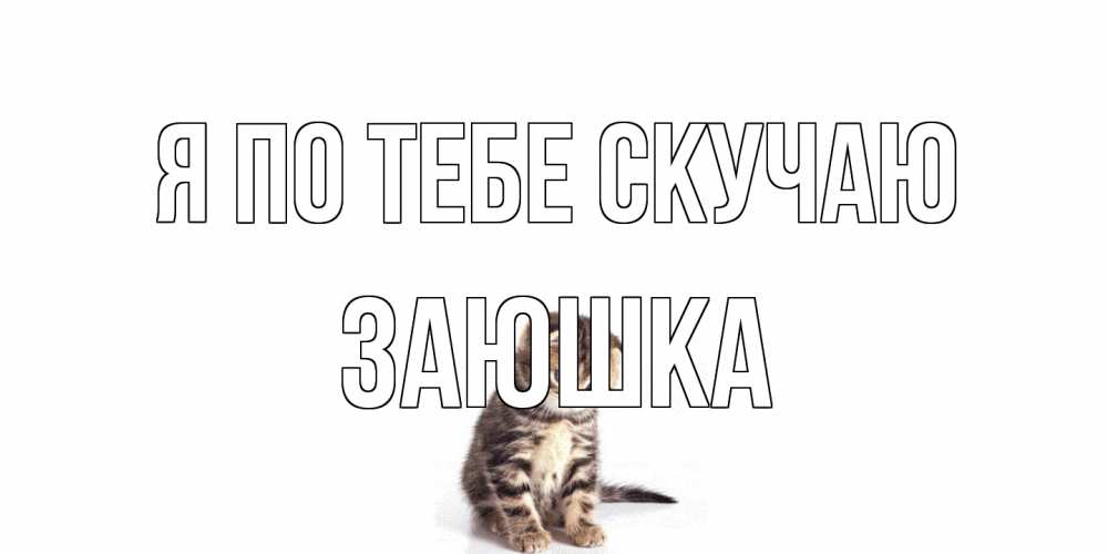 Открытка на каждый день с именем, Заюшка Я по тебе скучаю кот Прикольная открытка с пожеланием онлайн скачать бесплатно 