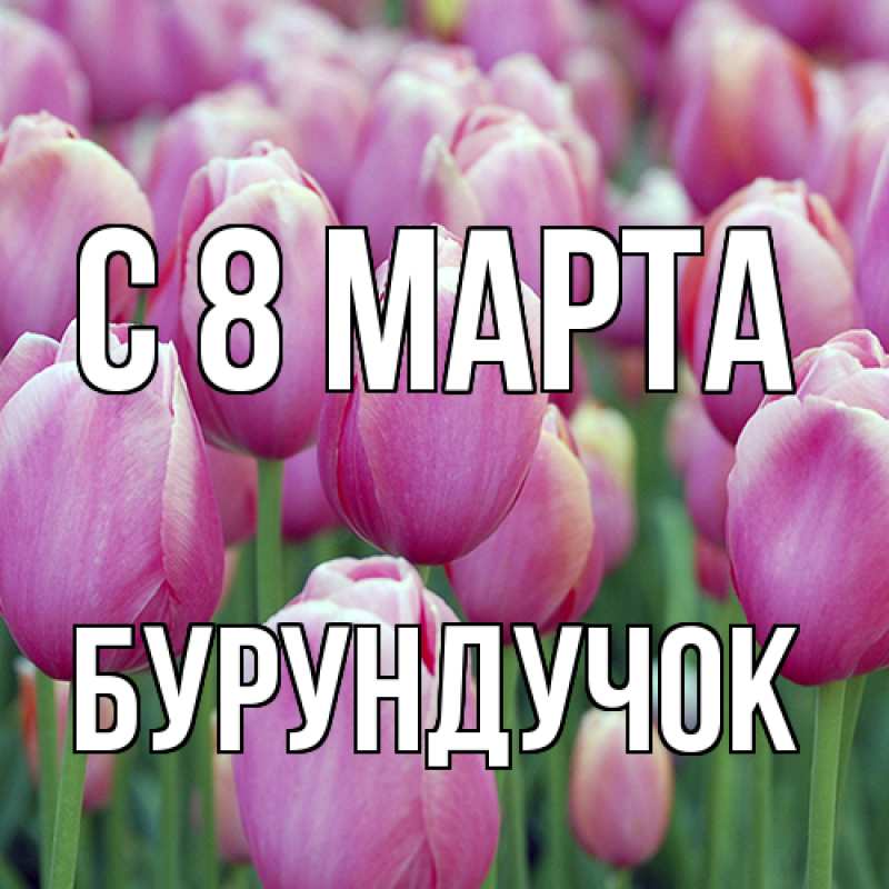 Картинка C 8 МАРТА, бурундучок