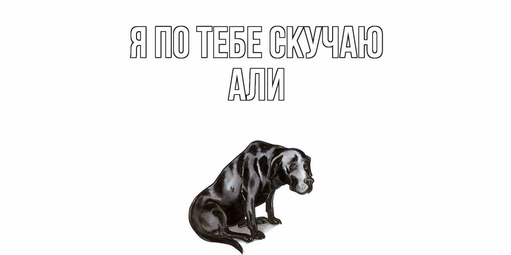 Открытка на каждый день с именем, Али Я по тебе скучаю я по тебе скучаю открытка с собакой Прикольная открытка с пожеланием онлайн скачать бесплатно 