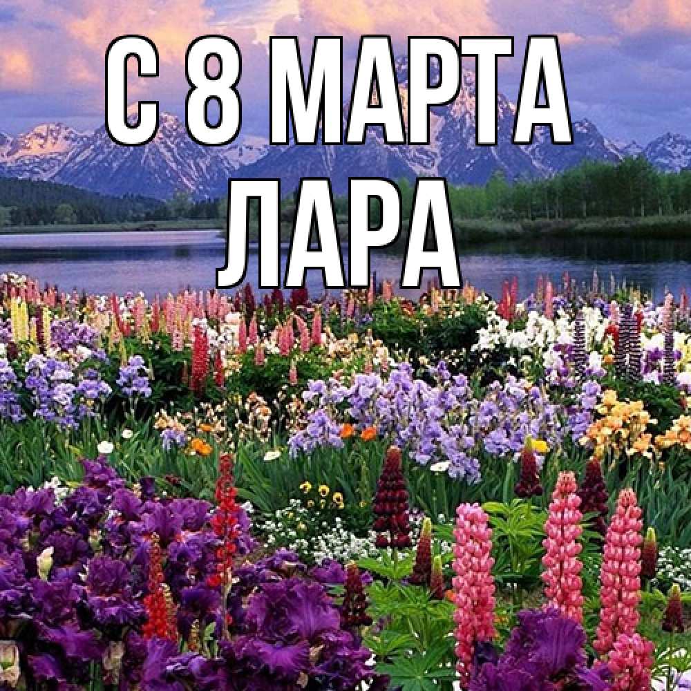 Открытка на каждый день с именем, Лара C 8 МАРТА международный женский день Прикольная открытка с пожеланием онлайн скачать бесплатно 