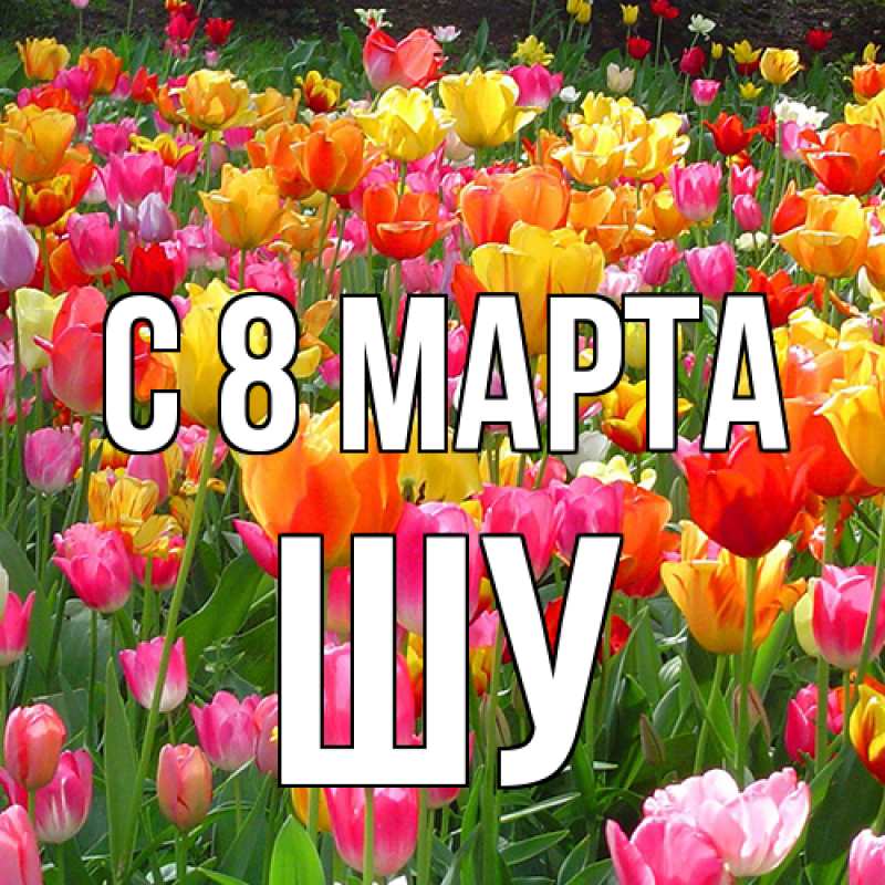Картинка C 8 МАРТА, Шу