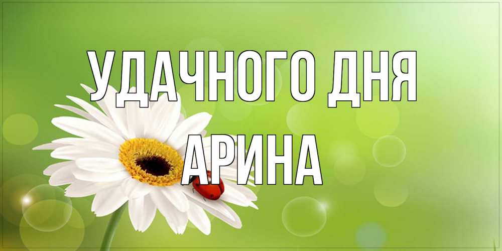 Открытка на каждый день с именем, Арина Удачного дня зеленый фон и ромашка Прикольная открытка с пожеланием онлайн скачать бесплатно 