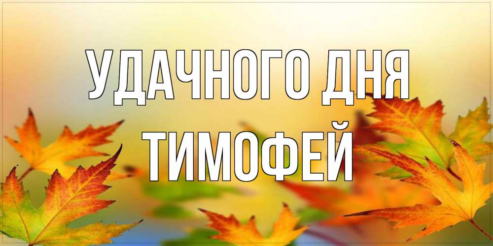 Открытка на каждый день с именем, Тимофей Удачного дня открытка с пожеланием хорошего осеннего дня Прикольная открытка с пожеланием онлайн скачать бесплатно 