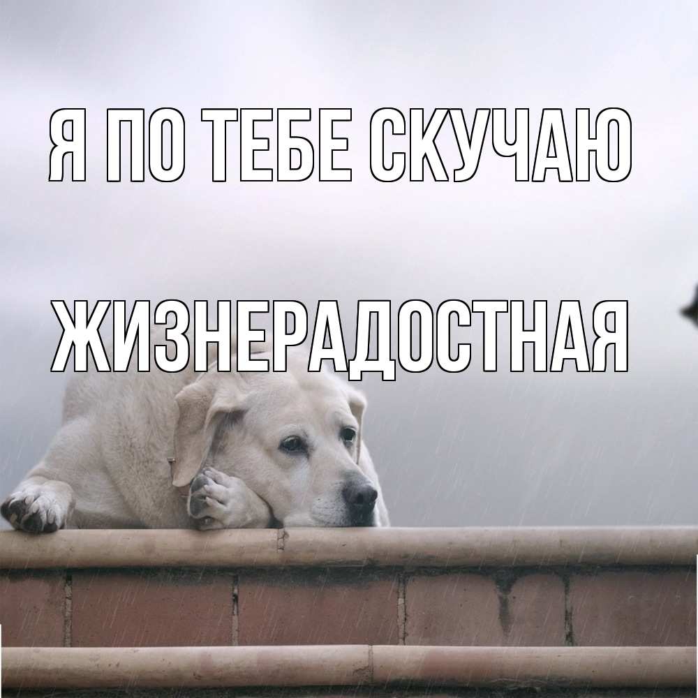 Открытка на каждый день с именем, Жизнерадостная Я по тебе скучаю ждет Прикольная открытка с пожеланием онлайн скачать бесплатно 