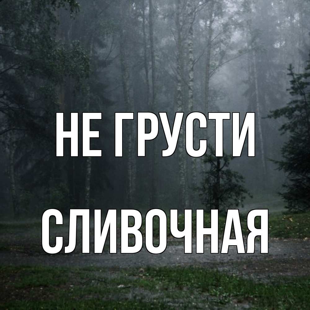 Открытка на каждый день с именем, Сливочная Не грусти осень Прикольная открытка с пожеланием онлайн скачать бесплатно 
