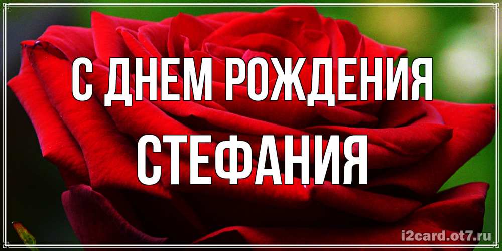 Открытка на каждый день с именем, Стефания С днем рождения розочка очень красивая Прикольная открытка с пожеланием онлайн скачать бесплатно 