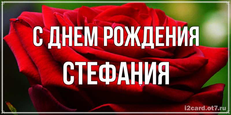 Картинка С днем рождения, Стефания