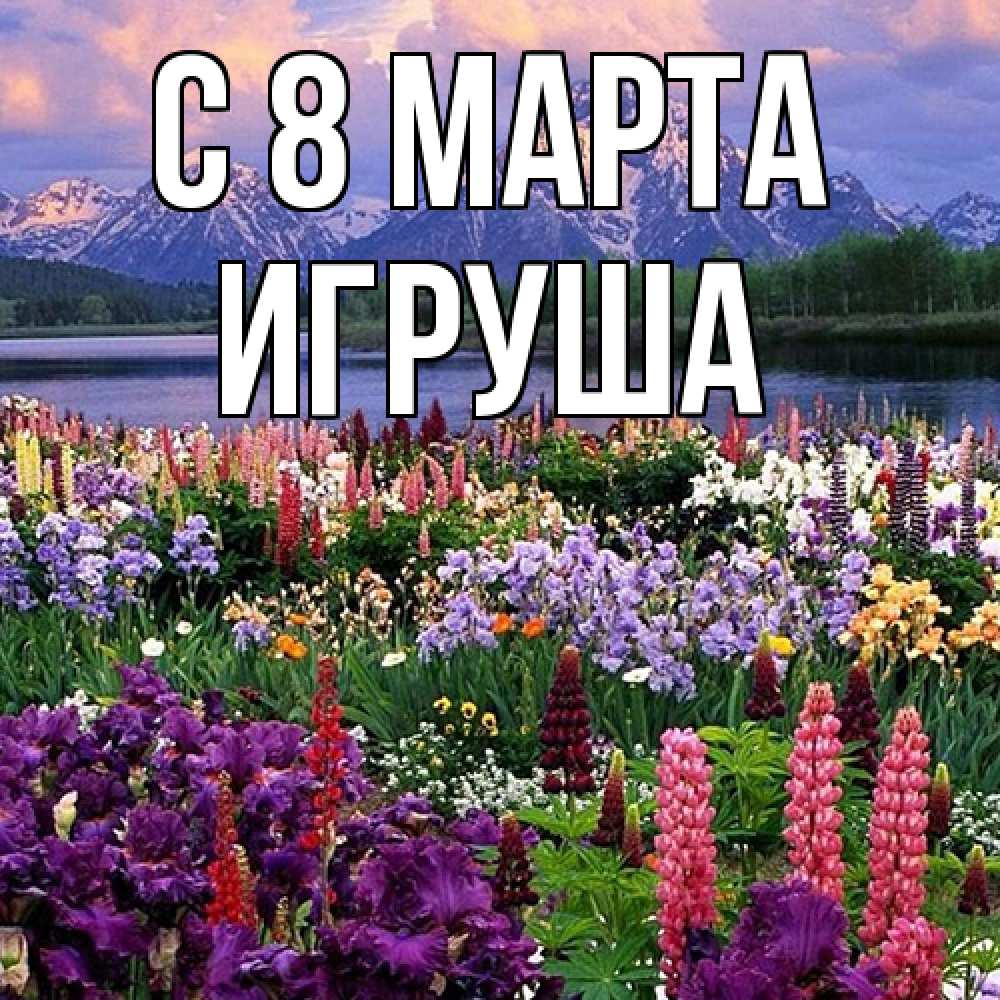 Открытка на каждый день с именем, Игруша C 8 МАРТА международный женский день Прикольная открытка с пожеланием онлайн скачать бесплатно 