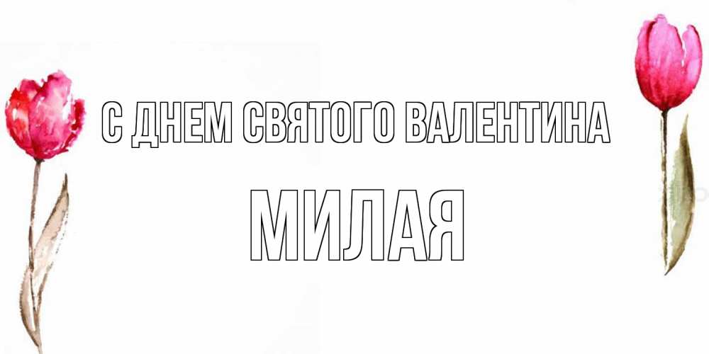 Открытка на каждый день с именем, Милая С днем Святого Валентина Открытки на день всех влюбленных с тюльпанами акварелью Прикольная открытка с пожеланием онлайн скачать бесплатно 