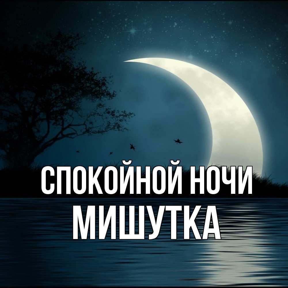 Открытка на каждый день с именем, Мишутка Спокойной ночи вода Прикольная открытка с пожеланием онлайн скачать бесплатно 