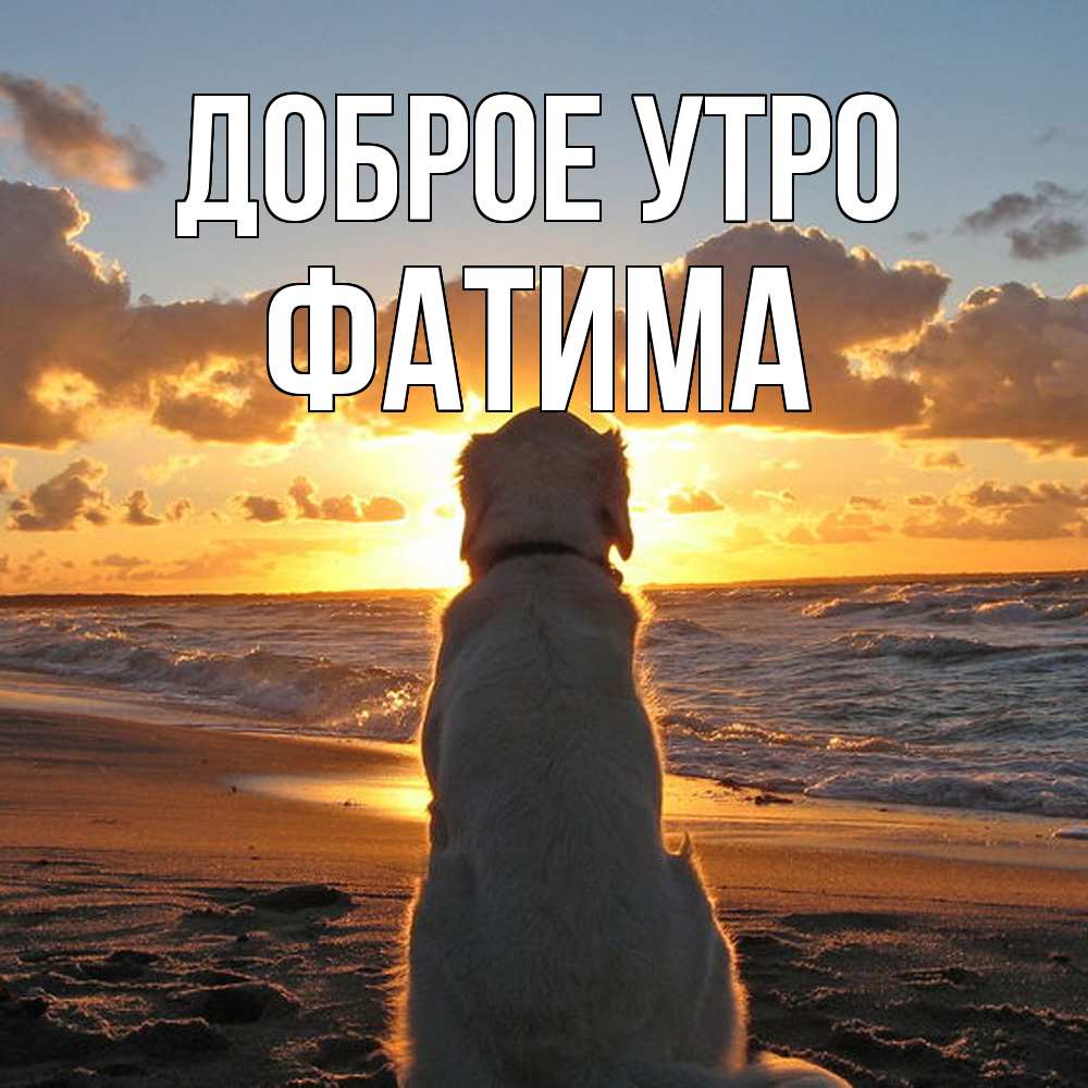 Открытка на каждый день с именем, Фатима Доброе утро восход солнца Прикольная открытка с пожеланием онлайн скачать бесплатно 