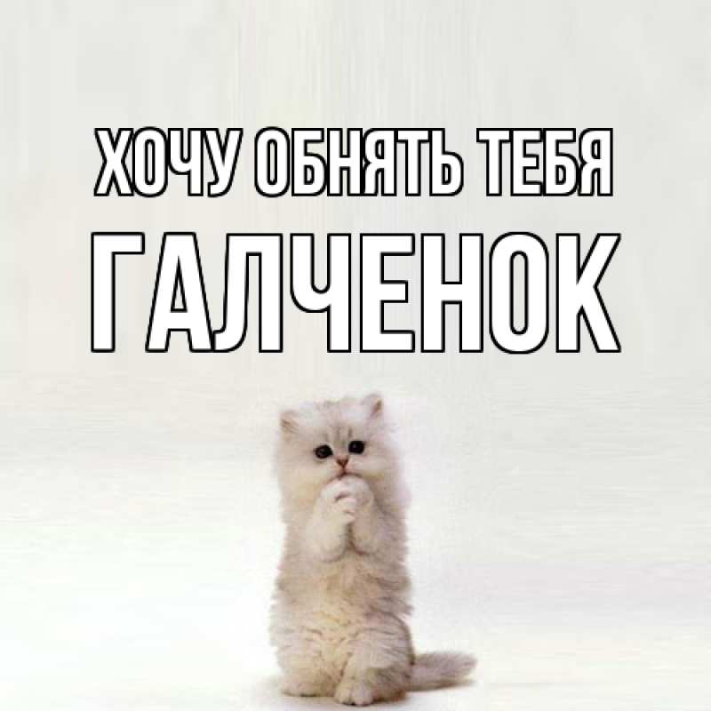 Картинка Хочу обнять тебя, Галченок