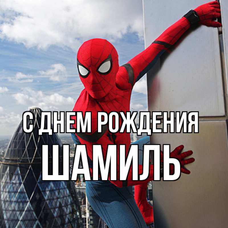 Картинка С днем рождения, Шамиль