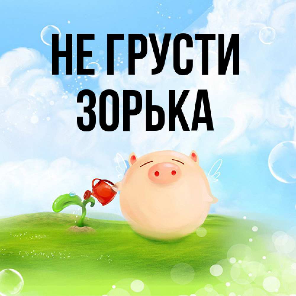 Открытка на каждый день с именем, Зоpька Не грусти поливает цветок порося Прикольная открытка с пожеланием онлайн скачать бесплатно 