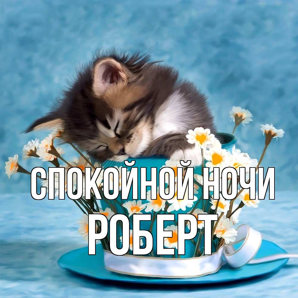 Открытка на каждый день с именем, Роберт Спокойной ночи котенок спит в кружке с блюдцем Прикольная открытка с пожеланием онлайн скачать бесплатно 