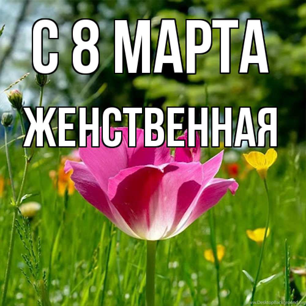 Открытка на каждый день с именем, женственная C 8 МАРТА полевые цветы Прикольная открытка с пожеланием онлайн скачать бесплатно 