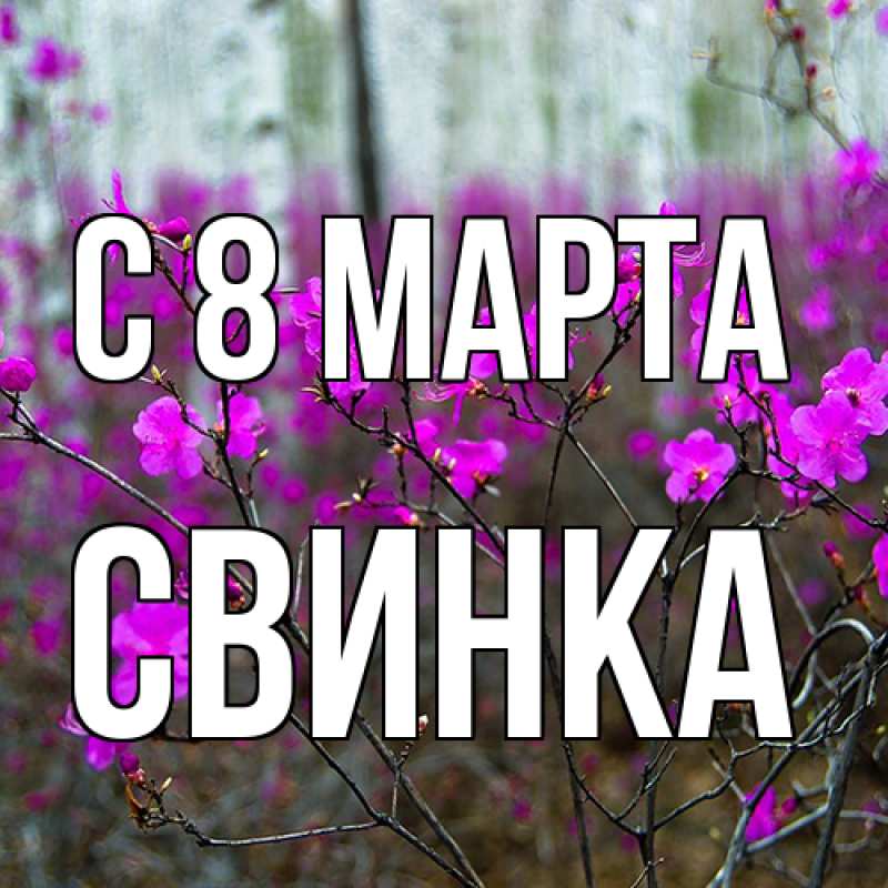 Открытка с именем, Свинка, C 8 МАРТА