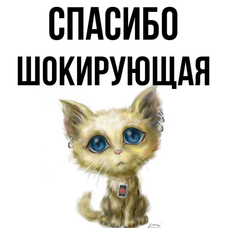 Картинка Спасибо, Шокирующая