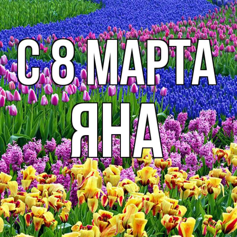 Картинка C 8 МАРТА, Яна