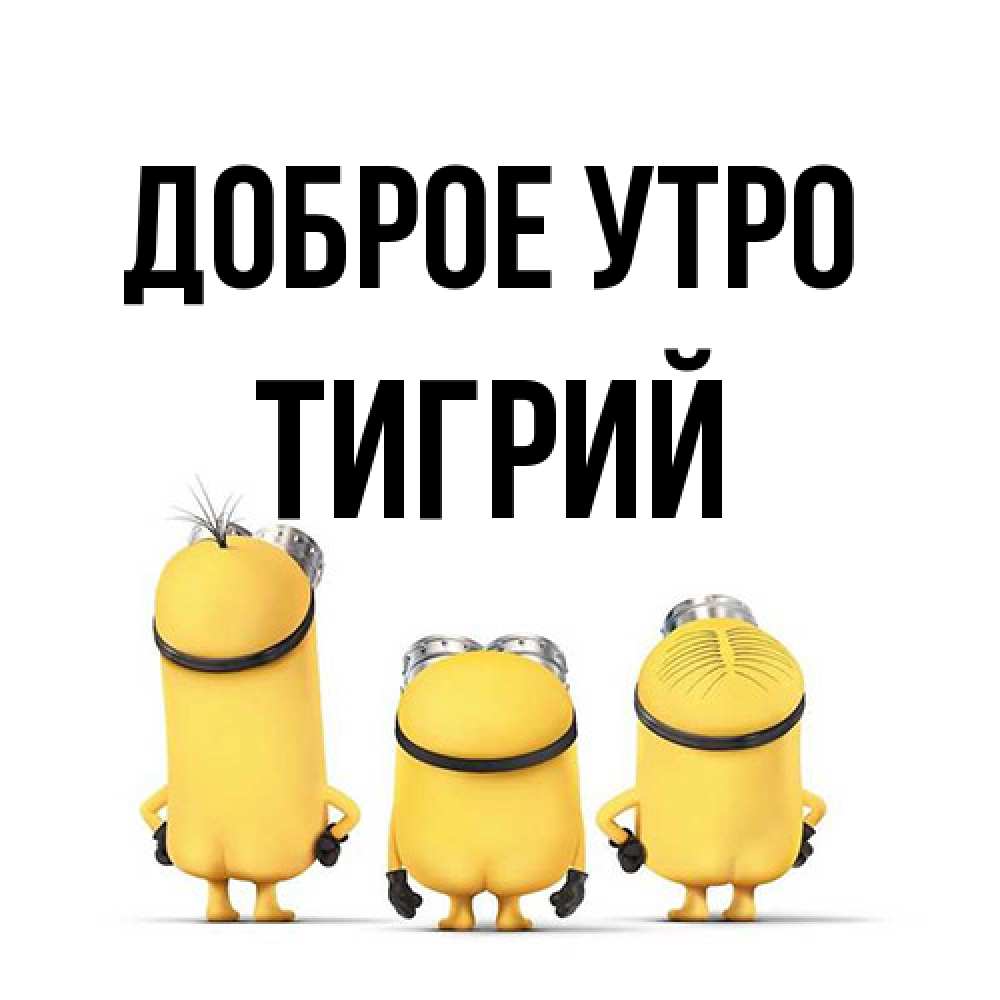 Открытка на каждый день с именем, Тигрий Доброе утро подписать открытку онлайн бесплатно Прикольная открытка с пожеланием онлайн скачать бесплатно 