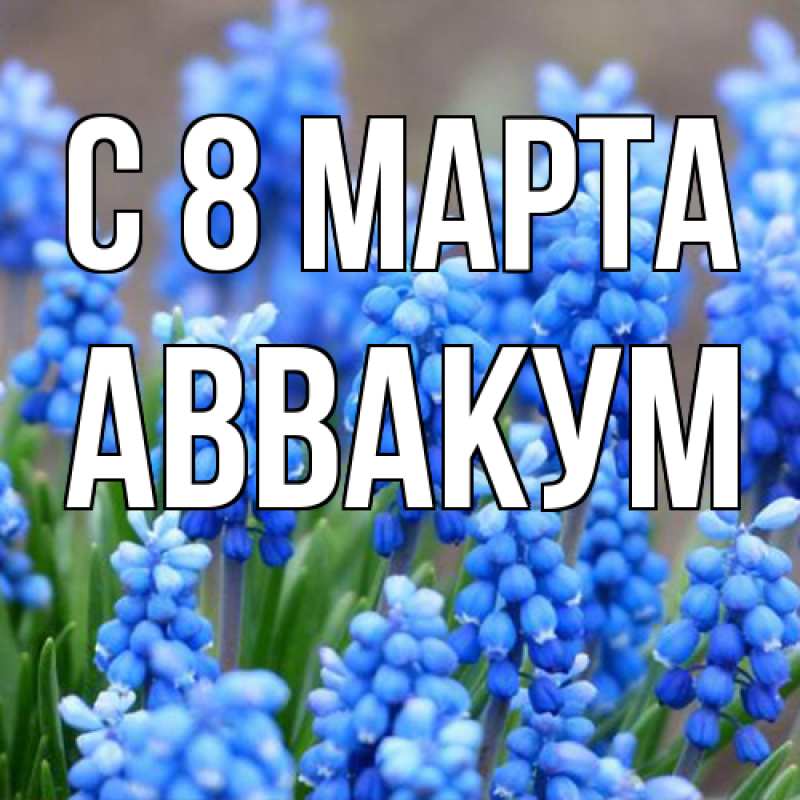Картинка C 8 МАРТА, Аввакум