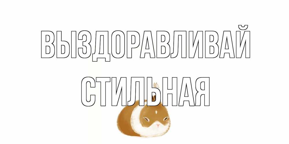 Открытка на каждый день с именем, Стильная Выздоравливай морская свинка на открытке с пожеланиями не болеть Прикольная открытка с пожеланием онлайн скачать бесплатно 