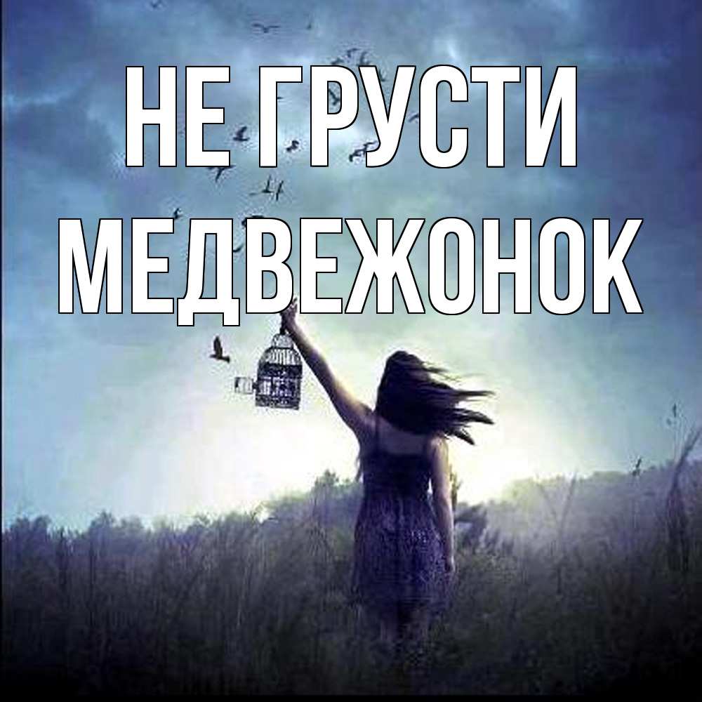 Открытка на каждый день с именем, медвежонок Не грусти на волю Прикольная открытка с пожеланием онлайн скачать бесплатно 