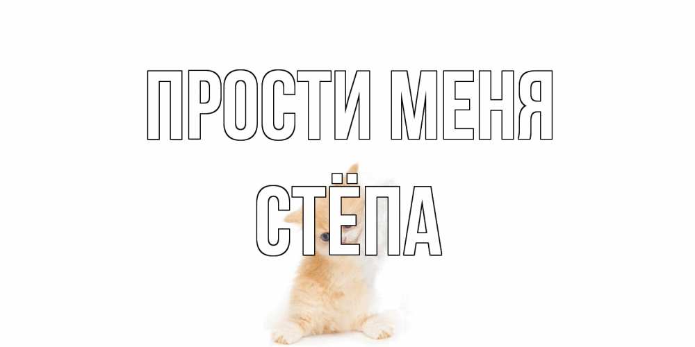 Открытка на каждый день с именем, Стёпа Прости меня кот Прикольная открытка с пожеланием онлайн скачать бесплатно 