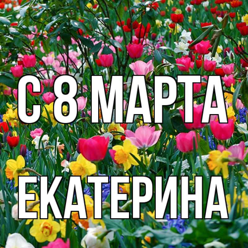 Картинка C 8 МАРТА, Екатерина